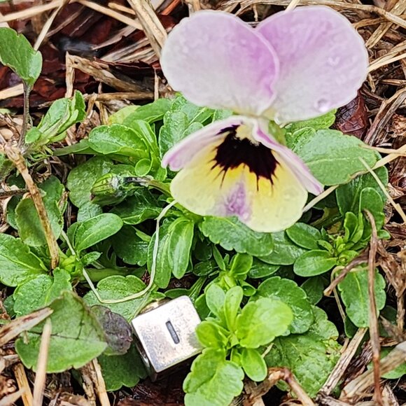 Pandora I Love You Charm Retired Sterling Silver with 14K Gold Love You Bead - Picture 2 of 6